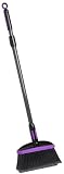Bissell Arrgh Pet Hair Broom