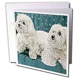Dogs Maltese - Two Maltese - Greeting Cards-6 Greeting Cards with envelopes