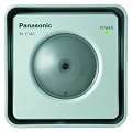 Panasonic BL-C140A Outdoor MPEG-4 Network Camera (Silver)