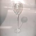 HAMILTON ETCHED GOBLET - 12.5" ETCHED GOBLET, HAMILTON COLLECTION