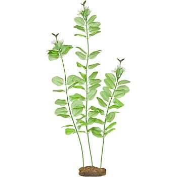 PETCO Silk Bacopa Flower Bud Background Aquarium Plant