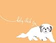 HOLY SHIH TZU: Oh. My. God.