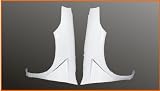 F1 Fenders
