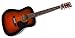 PLAYTECH AR[XeBbNM^[ D-4 SUNBURST