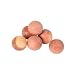 Stv  STV031 Cedar Balls, Box of 24