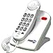 FansTel EzPro T56 Line Powered Professional Amplified Phone White