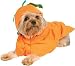 Pumpkin Dog Costume