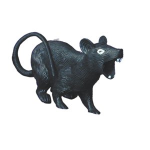Childrens Toyshop  Toys : Halloween Party Props | Large Rat