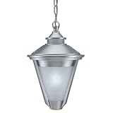 1-Light Outdoor Pendant - Brushed Aluminum