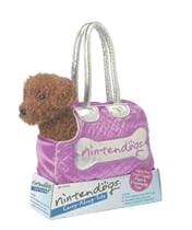 Carry Along Tote