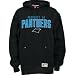 Carolina Panthers Hooded Youth Property Of Team Sweatshirt, Size= Medium