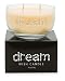 Primal Elements - Dream Wish Candle