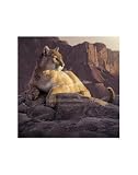 Smith Canyon Retreat Kunstdruck Puma