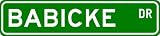 BABICKE Street Sign ~ Personalized Family Lastname Sign ~ Gameroom, Basement, Garage Sign Novelty** ALUMINUM