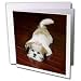 Dogs Lhasa Apsos - Lhasa Apsos - Greeting Cards-12 Greeting Cards with envelopes