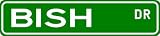 BISH Street Sign ~ Family Lastname Sign ~ Gameroom, Basement, Garage Sign