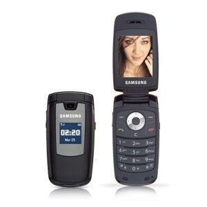 Samsung A436 Unlocked GSM Cell Phone - Quad-Band, Bluetooth, VGA Camera
