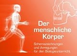 Produkt-Bild: Der menschliche K&ouml;rper: Schemazeichnungen und Anregungen f&uuml;r den Biologieunterricht