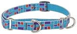 Lupine Medium Martingale Style Dog Collar - City Lights 14-20