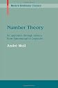 Number Theory: An approach through history from Hammurapi to Legendre (Modern Birkhäuser Classics)