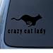 CRAZY CAT LADY - Kitty - Car, Truck, Notebook, Vinyl Decal Sticker #1095 | Vinyl Colo...