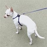 Coastal Pet Li`l Pals Adjustable Nylon Dog / Puppy Harness (Neon Pink, 6-10 inch Girth)