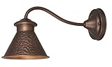 IMAGE OF World Imports Lighting 9002-86 Dark Sky Essen 1-Light 6-inch Wall Lantern with Long Arm, Antique Copper