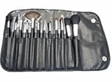 Cosmetics Make Up Brush Set includes 12 Assorted Brushes