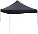On The Edge Marketing OTE-200000 Black Canopy 10 x 10