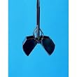 Allen Spring Action Scooper