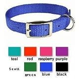Scott Nylon Sp Collar 1 X 18 Blue