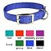 Sporting Goods : Scott Nylon Sp Collar 3/4 X 14 Blue