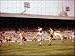 Jigsaw of Football FA cup final 1960 Wolves Wolverhampton Wanderers v Blackburn from MirrorPrintStor