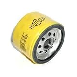 BRIGGS AND STRATTON 696854 FILTER-OIL [Tools & Home Improvement]