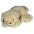 Cloud B Lavender Lab: Plush Dog with Scented Lavender