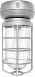 IMAGE OF RAB Lighting VAPORPROOF CFL CEILING 32W QT 3/4 WITH GLASS GLOBE CAST GD - VX2F323/4