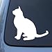 BURMESE - Cat - Vinyl Car Decal Sticker #1496 | Vinyl Color: White