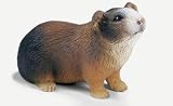 Guinea PigIMAGE