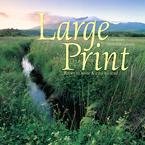 Large Print 2010 Wall Calendar