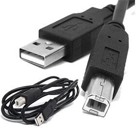 SANOXY Black 10 ft Hi-Speed USB 2.0 Printer Scanner Cable Type A Male to Type B Male For HP, Canon, Lexmark, Epson, Dell by 