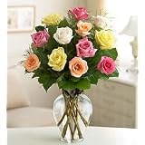 Flowers - Rose Elegance Premium Long Stem Assorted Roses - One Dozen
