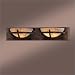 Minka Lavery Calavera 2 Light Bath Vanity Strip 6822-14