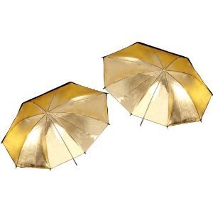 christmas TWO Studio Lighting Reflective UmbrellaB003UK82J8