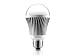8W A19 Warm White Led Bulb