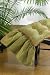 Palme d'Or Bed Pillow