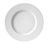 Royal Doulton Terence Conran Albion Charger Plate, 11-3/4-inches