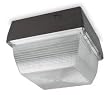 LumaPro 5MM41 Fixture, Ceiling, 175 W