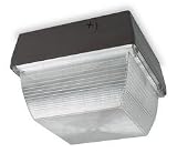 LumaPro 5MM41 Fixture, Ceiling, 175 W