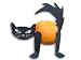 Turn your Pumpkin into a Cat Kit