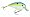Sexy Shad